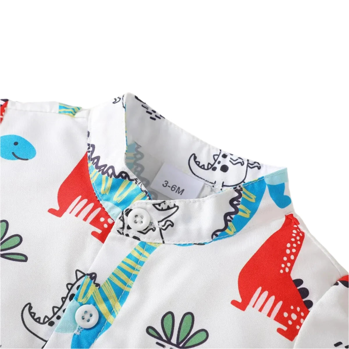 Summer Baby Boys' Dinosaur Print Two-Piece Set