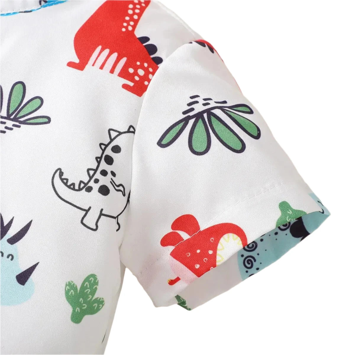 Summer Baby Boys' Dinosaur Print Two-Piece Set